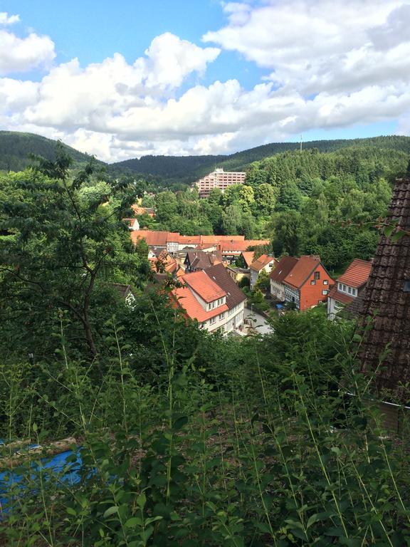 Ferienwohnung Zur Alten Post Bad Grund Exterior photo