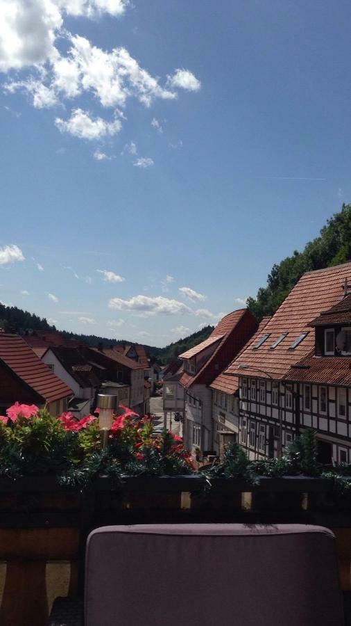 Ferienwohnung Zur Alten Post Bad Grund Exterior photo